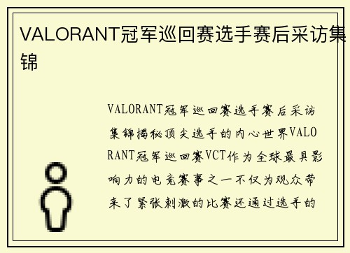 VALORANT冠军巡回赛选手赛后采访集锦